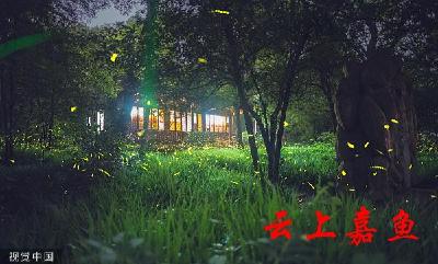 杨忠岐委员：建立科学精准的森林碳汇计量方法