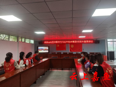 【文明嘉鱼】梁家山社区开展“弘扬五四精神，赓续红色血脉”青年主题团日活动