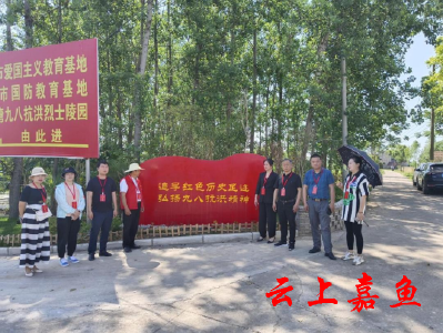簰洲湾镇人大代表开展视察调研活动
