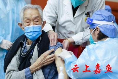 新AI工具可检出“癌王”最早期迹象
