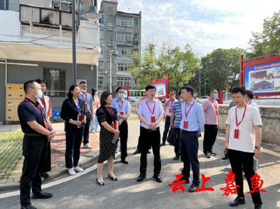 察民情、聚民智、惠民生——县人大常委会召开代表行动现场推进会