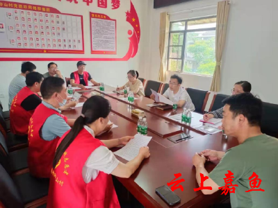 【文明嘉鱼】陆溪镇开展新时代文明实践医疗卫生志愿服务活动
