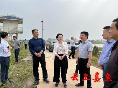 县领导调研东湖围堤防汛备汛工作