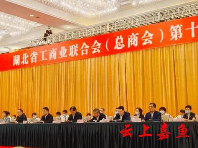 嘉鱼企业家参加省工商联（总商会）第十三次代表大会并履新