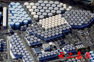 俄罗斯、爱尔兰学术机构专家严词批评日本核污水排放计划