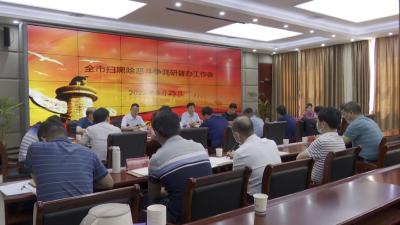 市扫黑除恶斗争调研督办组来我县开展督办工作