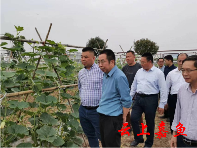 省种子管理局调研组来嘉调研种业工作
