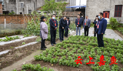 市领导在簰洲湾镇人大第一代表小组参加“察民情、聚民智、惠民生”活动