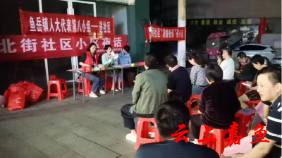 【人大代表在行动系列报道之四】鱼岳镇人大第八代表小组携手北街社区开展“星空夜话”宣讲活动  
