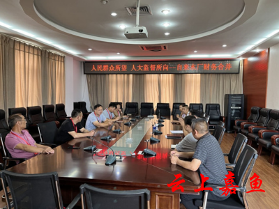 【人大代表在行动系列报道之十一】人民群众所望 人大监督所向——潘家湾镇人大代表为民办实事
