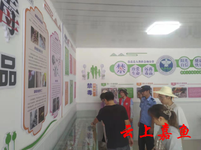 【文明嘉鱼】陆溪镇:禁毒宣传进社区