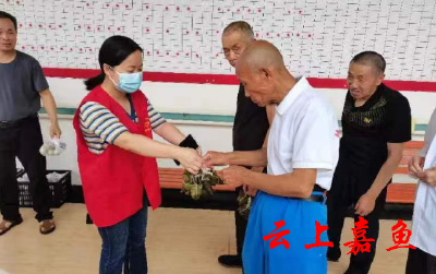 【文明嘉鱼】陆溪镇开展端午节慰问活动