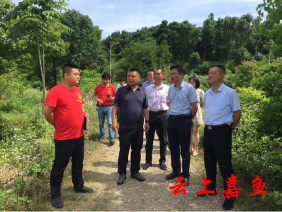 【下基层察民情解民忧暖民心】县领导到高铁岭镇官桥镇开展下基层察民情解民忧暖民心实践活动