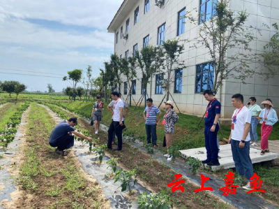 【下基层察民情解民忧暖民心】渡普镇组织人大代表开展调研活动