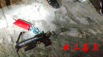 盗狗也违法 武汉两盗贼零时在嘉鱼落网