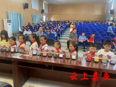 【文明嘉鱼】新街镇中心学校举办禁毒教育大会