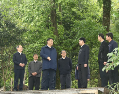 总书记挂念的“关键小事”丨留住鸟语花香田园风光