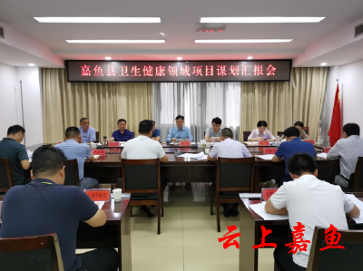 王永在我县卫生健康领域项目谋划汇报会上强调：不断优化卫生健康领域资源配置和项目功能布局 进一步增强人民群众的幸福感获得感安全感