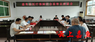 【下基层察民情解民忧暖民心】县医保局召开医疗保障社会监督员座谈会 