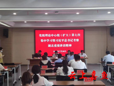 县政数局党组理论中心组（扩大）开展第七次集中学习暨学习习近平总书记考察湖北重要讲话精神