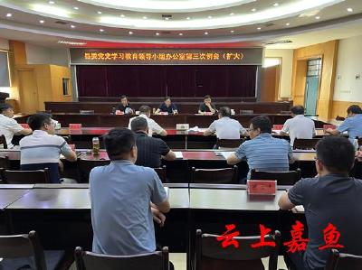 【下基层察民情解民忧暖民心】县委党史学习教育领导小组办公室第三次例会（扩大）召开