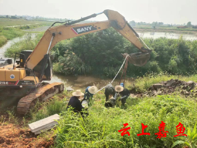 【下基层察民情解民忧暖民心】渡普镇烟墩村：着力解决群众灌溉用水难题