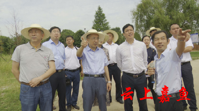 张柏青来我县开展长江生态环境保护民主监督调研时强调：努力开创长江生态环境保护监督新局面