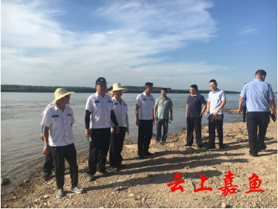 【文明嘉鱼】新街镇开展长江禁捕联合执法行动