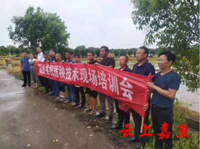 我县开展机插秧技术培训 推进农业种植机械化