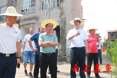 胡金云调研全县棚改项目及重要民生项目建设工作