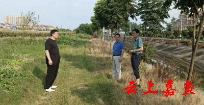 【人大代表在行动系列报道二十五】硬化生产路架起“民心桥”——潘家湾镇人大第四代表小组聚焦解决村民“出行难”