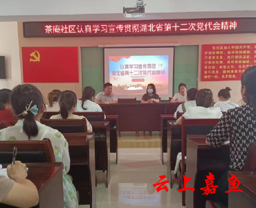 茶庵社区开展学习省第十二次党代会精神主题宣讲活动