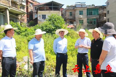 【下基层察民情解民忧暖民心】王永在鱼岳镇南街社区开展下基层察民情解民忧暖民心实践活动时强调：不断提升城市建设管理水平 切实增强人民群众的幸福感获得感