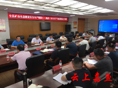 县领导检查督导我县矿山生态修复安全生产暨国土（地质）安全生产工作