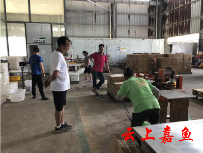 陆溪镇开展安全隐患排查“回头看” 扎实筑牢安全生产“防护网”