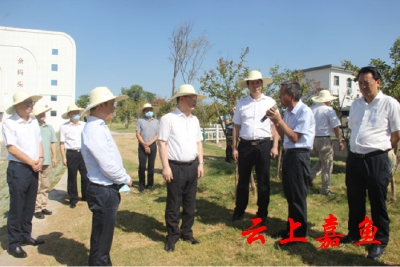 董卫民来嘉检查督导抗旱救灾工作时强调：集中抗旱力量保供水保秋粮丰收