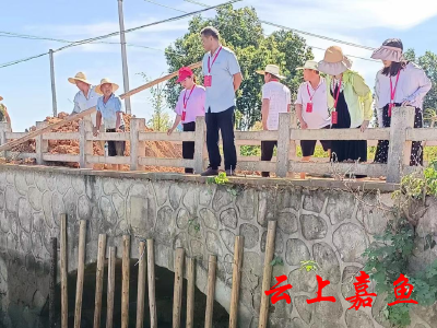渡普镇人大第四代表小组助力抗旱保秋收