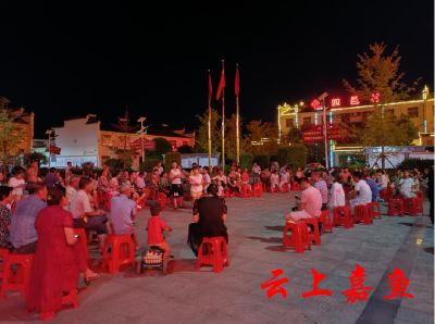 【文明嘉鱼】人大代表履职为民谋福祉 “村湾夜话”暖民心