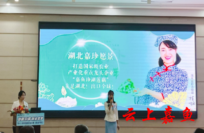 陆溪镇珍湖莲藕荣获中国创新创业大赛咸宁赛区一等奖
