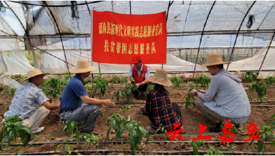 【文明嘉鱼】嘉鱼助力农民增收 扶贫帮困志愿服务队走进邱家湾村