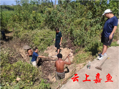 【抗旱减灾·我们在一线】市生态环境局嘉鱼分局驻村工作队一线抗旱保丰收