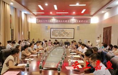 武汉大学中南医院嘉鱼医院召开建设与发展专家研讨会