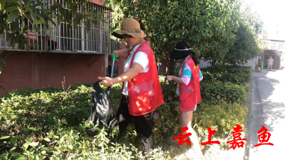 【文明嘉鱼】东街社区开展美丽嘉鱼共同缔造活动