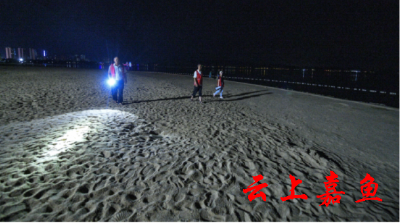 【文明嘉鱼】嘉鱼：多部门联动 加强夜间防溺水值守巡查力度