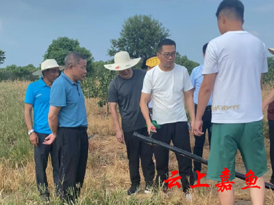 市应急管理局到我县开展抗旱督导工作
