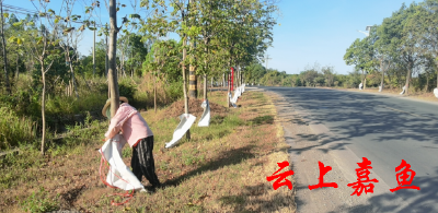 【抗旱减灾·我们在一线】蛇皮袋变身“微灌袋” 高铁岭镇创新抗旱工作方法