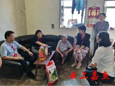 【人大代表在行动系列报道三十九】呵护群众“小确幸”——鱼岳镇人大第八代表小组聚焦民生