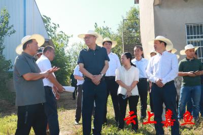杨军到嘉鱼巡江并调研抗旱工作时要求：全力以赴打好抗旱减灾这场硬仗