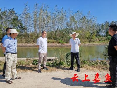 县领导赴高铁岭镇临江村督导抗旱保收工作