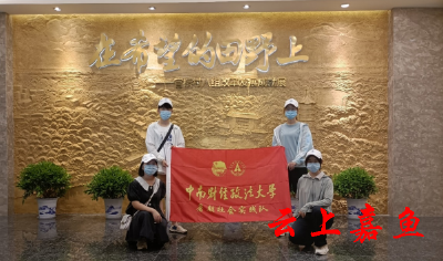 中南财经政法大学学生深入官桥镇开展暑期社会实践活动